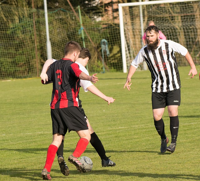 段提振了球 段提振了球