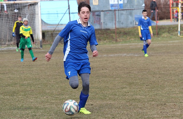 波尔蒂芒人 波尔蒂芒人