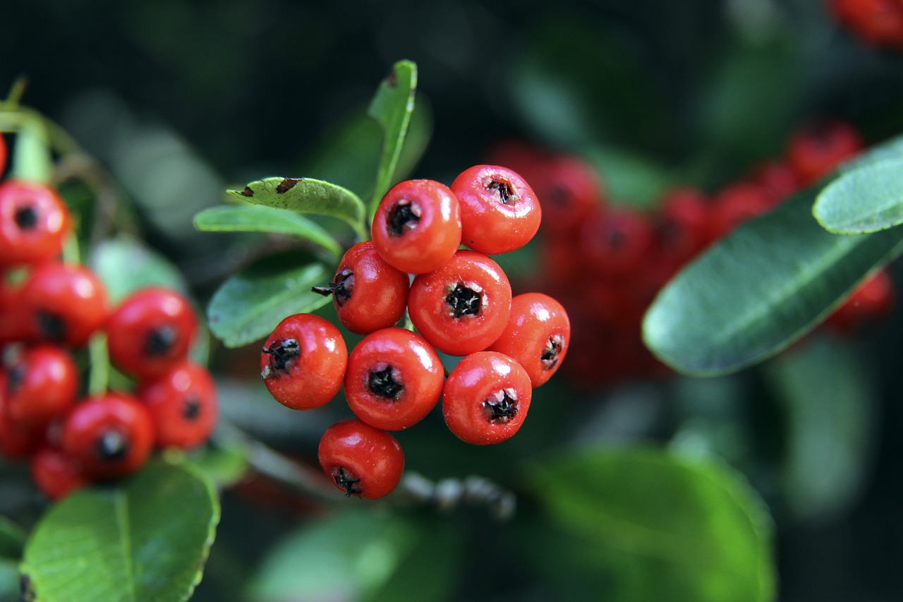 一名以稳健 一名以稳健